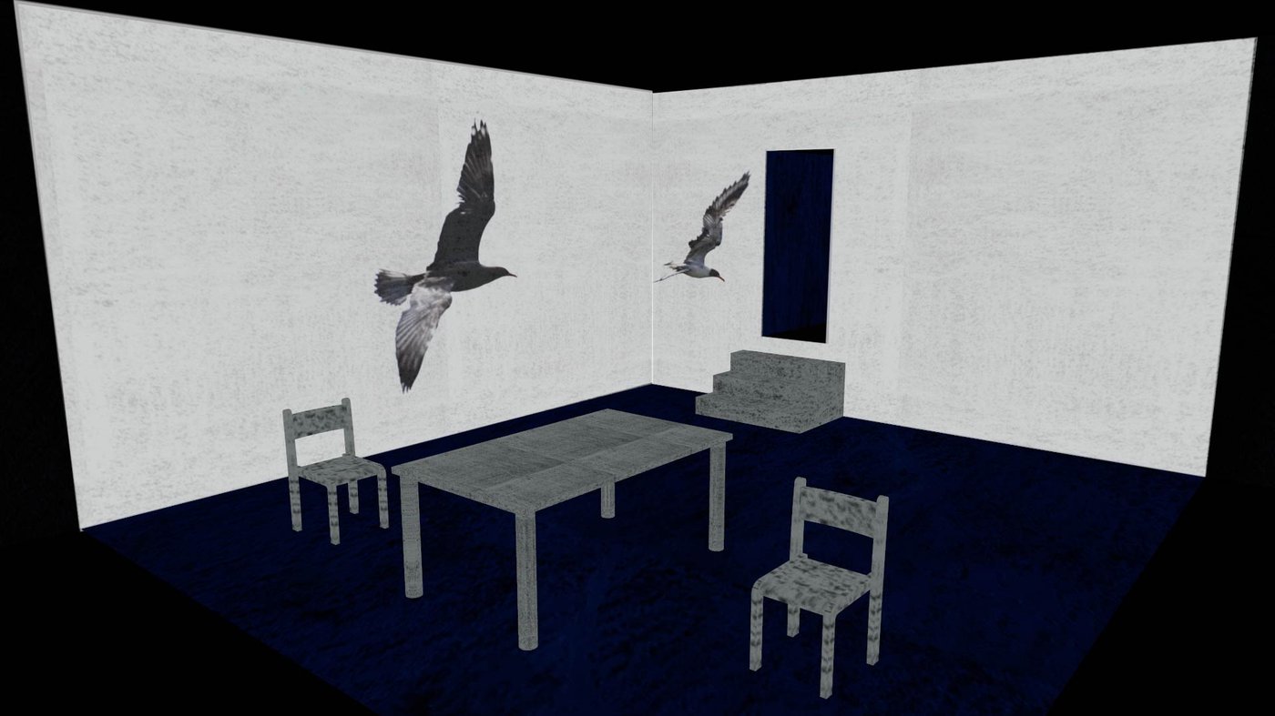Video previz — the seagulls