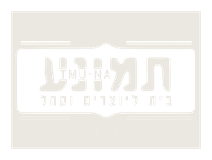Tmuna Theatre